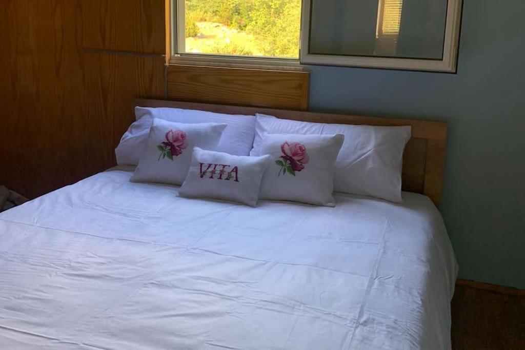 Vita Guesthouse Bajram Curri 外观 照片